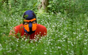 Hund sitzt in der Wiese