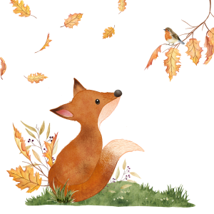 Ein junger Fuchs schaut auf zu einem Vogel, welcher auf einem Zweig sitzt